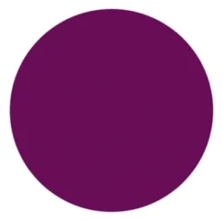 Incarose Plumping Lipstick 4,5ml