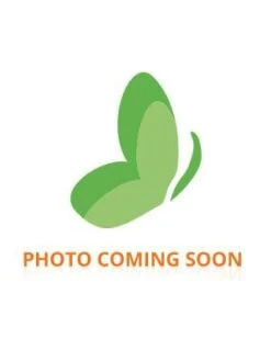 Argiletz Green Clay Paste 400g